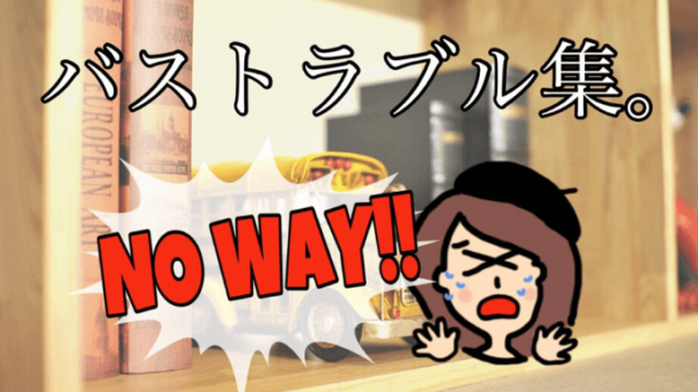 世界一周で遭遇したバストラブルまとめ